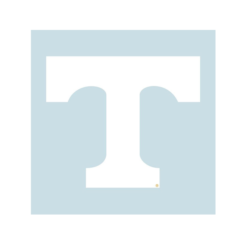 12″ Power T Decal - White | HoundDogs of Knoxville